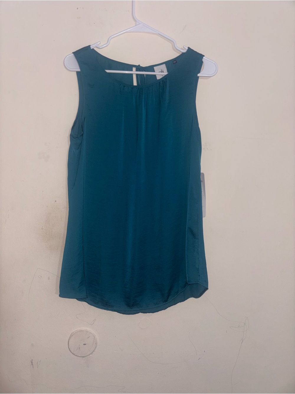 CAbi mist sleeveless top size
SMALL in teal